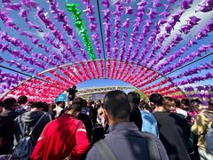 -鄂尔多斯野生动物园