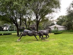 -北京园博大酒店