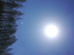 -黄海国家森林公园