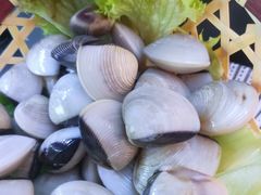 -马家斑.鲜鱼火锅(松湖万科店)