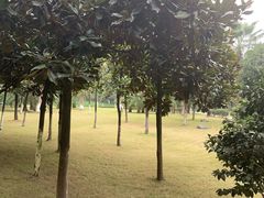 -龙头寺公园