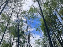 -千泷沟大瀑布旅游区
