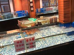 水产区-广东道至正餐厅(区庄店)