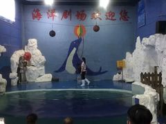-左海海底世界