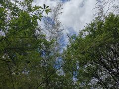 -卡定沟景区