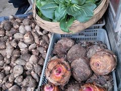 -长兴慧子土特产茶行