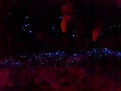 -怀托摩萤火虫洞