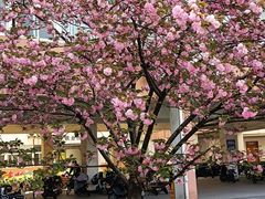 -中国计量大学(西校区)