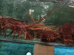 -石湖大酒店(桐泾店)