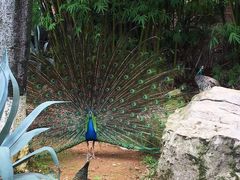 -昆明动物园