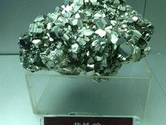 -甘肃地质博物馆