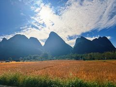 -村上春树