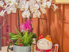 -LANN I 蘭·泰式古法按摩(高岛屋百货店)