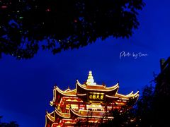 -黄鹤楼公园(黄鹤楼)