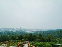 -白水寺森林公园