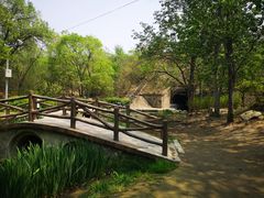 -白水寺森林公园
