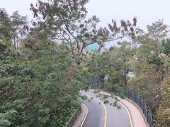 -茵特拉根酒店·西餐厅