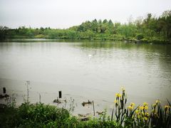 怡沁园度假村-上海怡沁园度假酒店