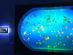 -梦幻海洋王国(吾悦广场张家港店)