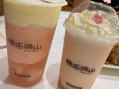 桃乐满山雪顶-桃乐满山(川沙百联店)