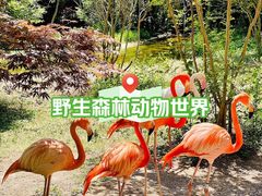 -青岛森林野生动物世界