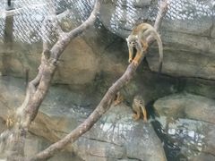 -泉州海丝野生动物世界