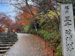 -三千院