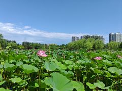 -太阳宫公园