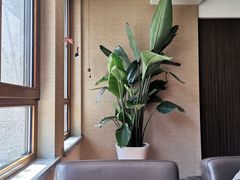 -jpc集品佳宴·地标餐厅(中山店)