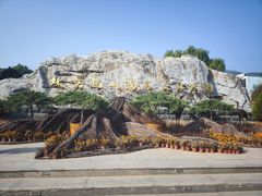 -北京西山国家森林公园