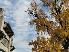 -新场古镇-停车场