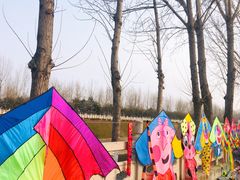 -汉长安城未央宫国家考古遗址公园