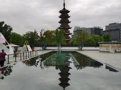 -龙华素斋(龙华路店)