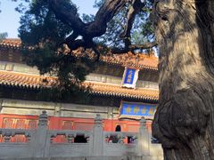 -北京国子监胡同