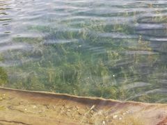 -泸沽湖里格半岛