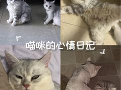 -联合动物医院(光谷诊疗中心)
