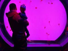 -沈阳海洋探索中心