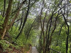 -富春桃源风景区