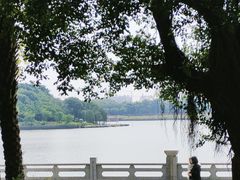 -海珠湖公园