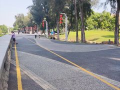 -宝安西湾红树林湿地公园