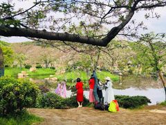 -武汉大学-樱园