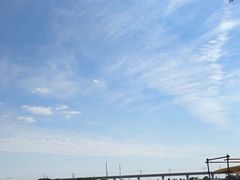 -动邦皮划艇·桨板·独木舟·团建户外运动俱乐部