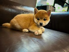 -宠颐生动物医院·小陆分院