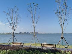 -滴水湖帆船营地
