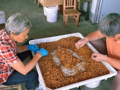 -苏州市吴中区光福窑上花果蜜饯厂