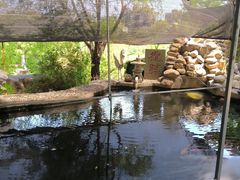 -江阴君山寺