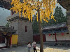 -青龙山生态文化旅游区(慈云寺)