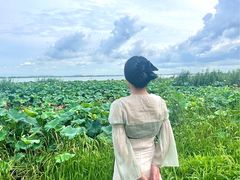 -七的湖·晚芳亭·阳澄湖农家菜·大闸蟹(莲花岛店)