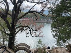 -蒋氏故居