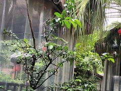 -醉月城西昌火盆烧烤(天府店)